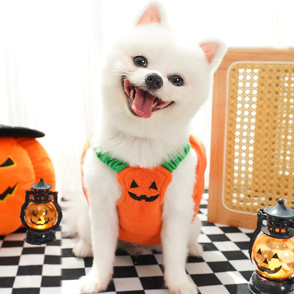 Cute Pumpkin Pet Costume