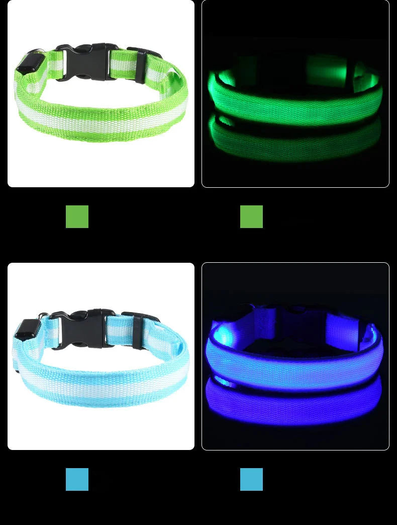 Glow In The Dark Dog Collar