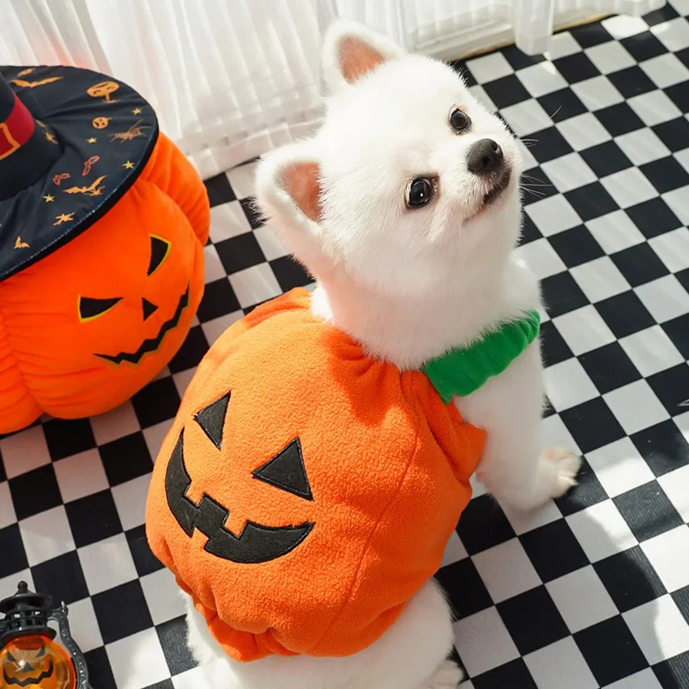 Cute Pumpkin Pet Costume