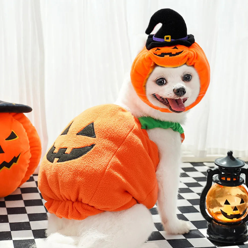 Cute Pumpkin Pet Costume