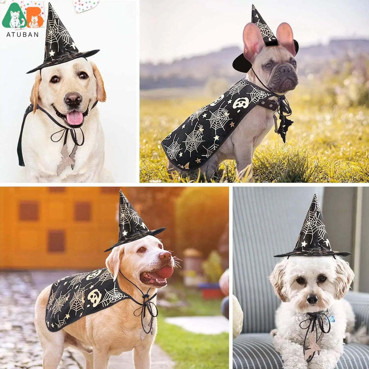 2 Pack Vampire Pet Costume