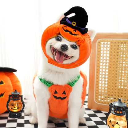 Cute Pumpkin Pet Costume