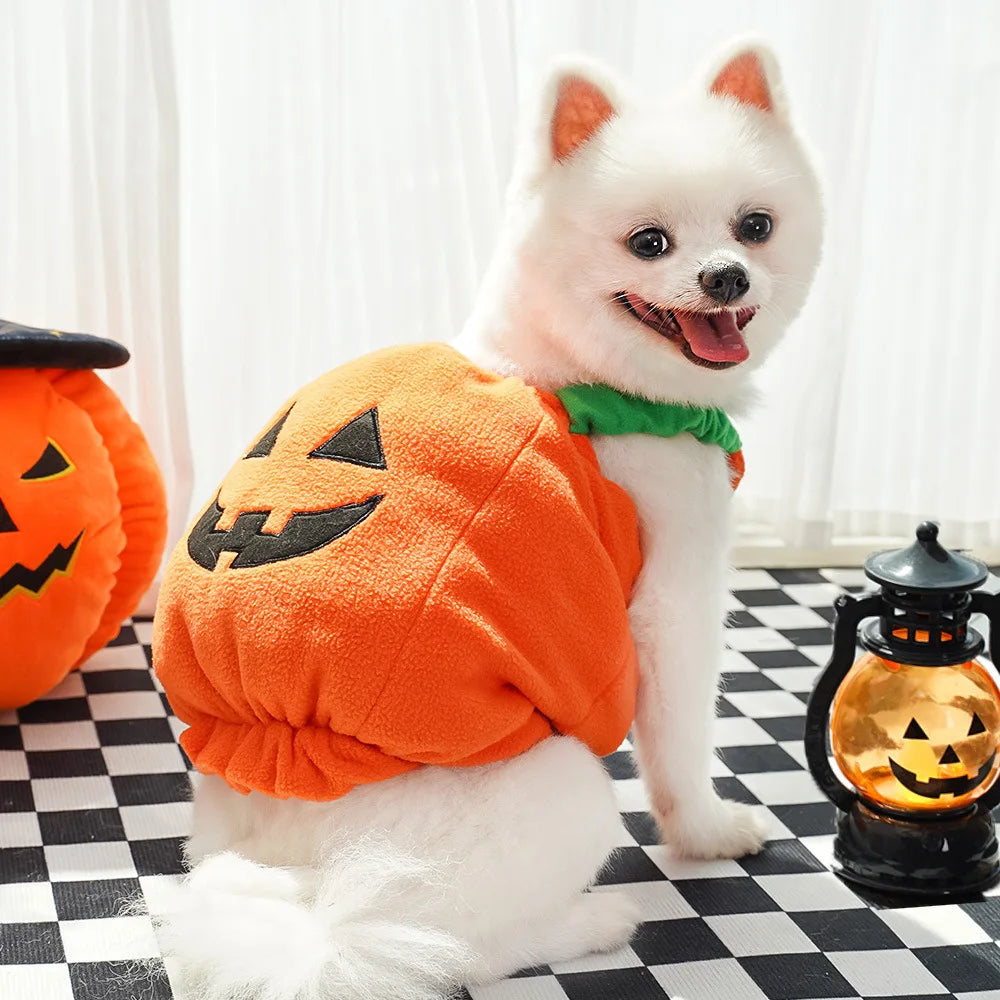 Cute Pumpkin Pet Costume