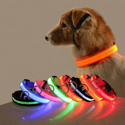 Glow In The Dark Dog Collar