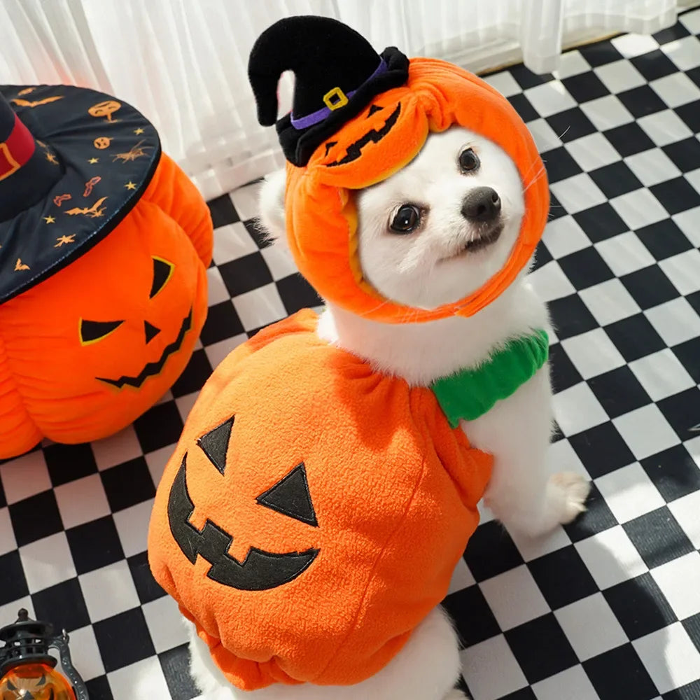 Cute Pumpkin Pet Costume