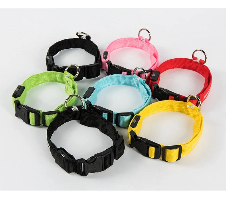 Glow In The Dark Dog Collar