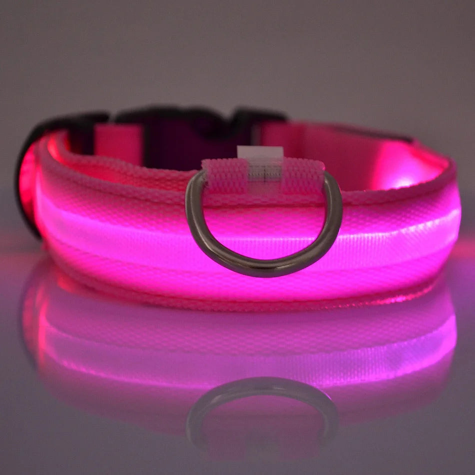 Glow In The Dark Dog Collar