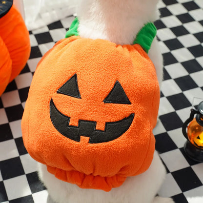 Cute Pumpkin Pet Costume