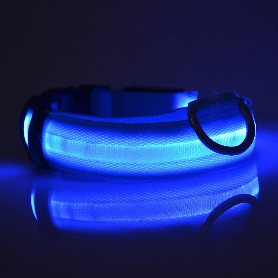 Glow In The Dark Dog Collar