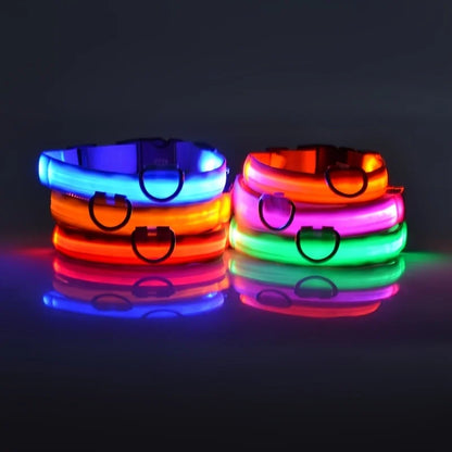 Glow In The Dark Dog Collar