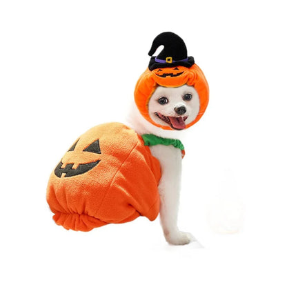 Cute Pumpkin Pet Costume