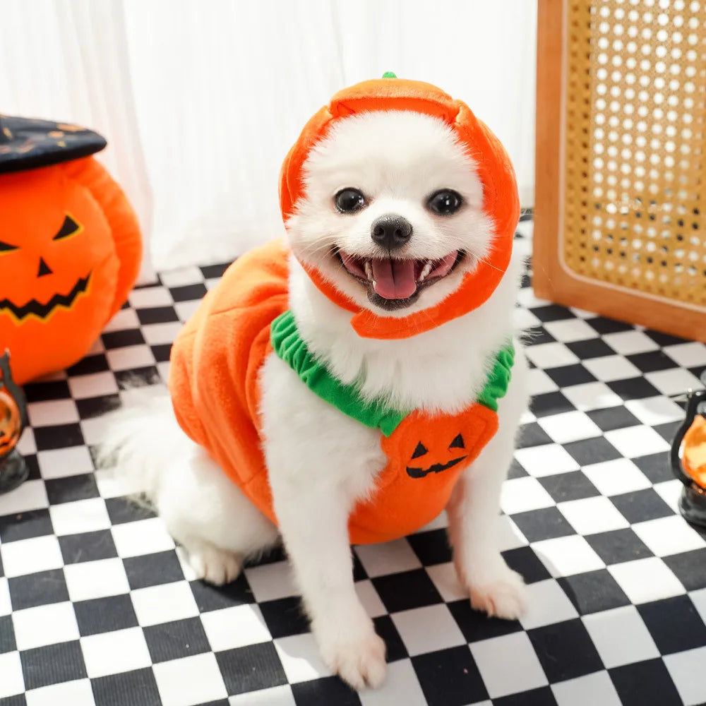 Cute Pumpkin Pet Costume