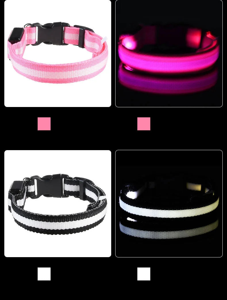 Glow In The Dark Dog Collar