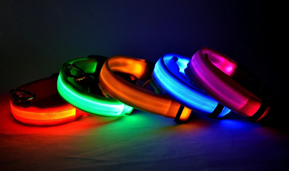 Glow In The Dark Dog Collar