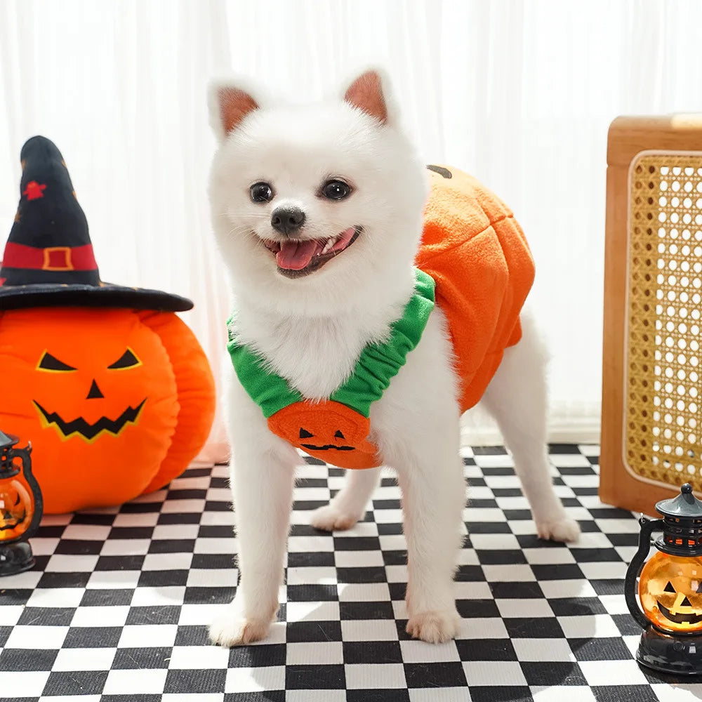 Cute Pumpkin Pet Costume