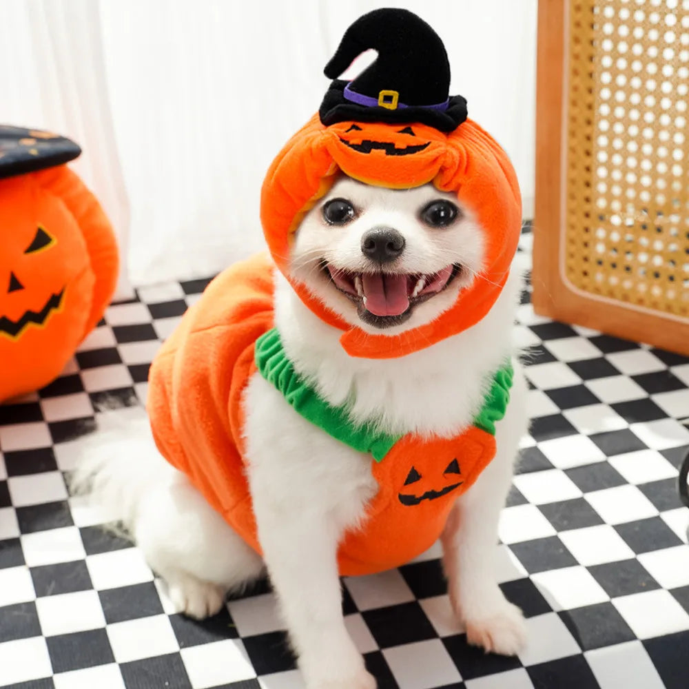 Cute Pumpkin Pet Costume