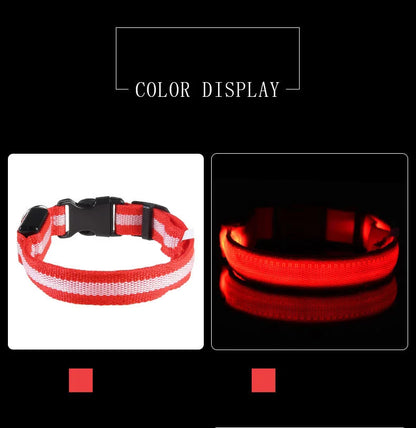 Glow In The Dark Dog Collar